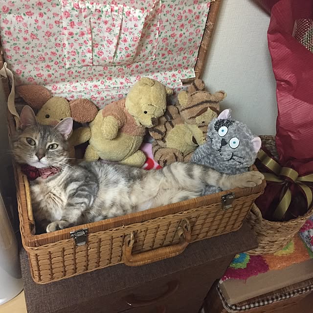 mayakaさんの実例写真