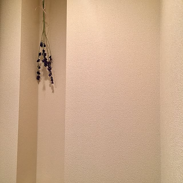 997__さんの実例写真