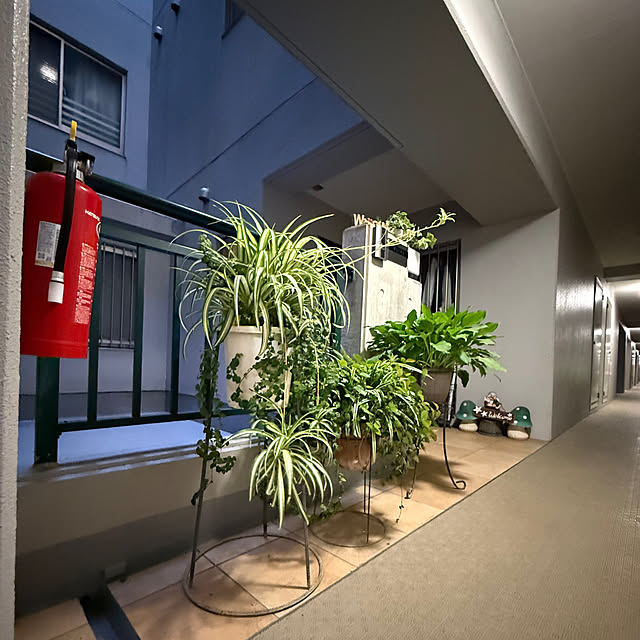 Aqettyさんの実例写真