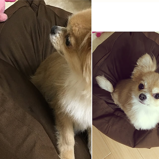 misoさんの実例写真