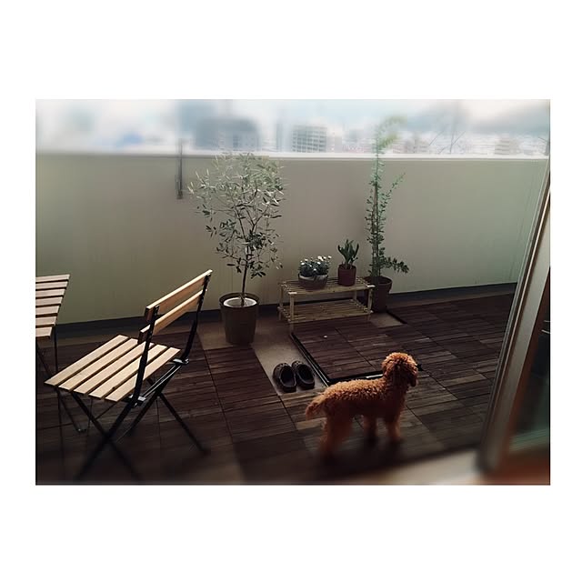 chihooo.sさんの実例写真