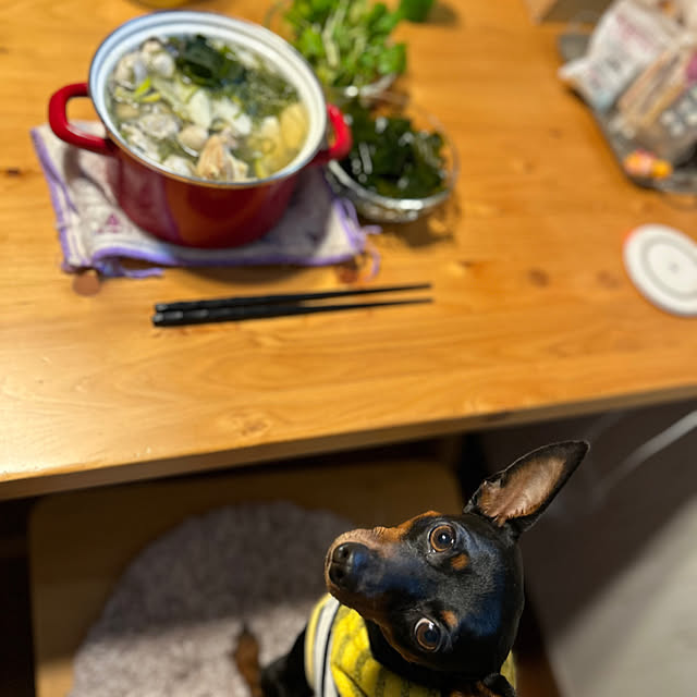 shizuponさんの実例写真