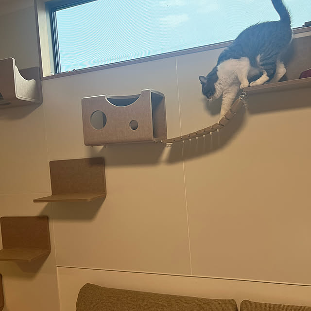 tiroさんの部屋