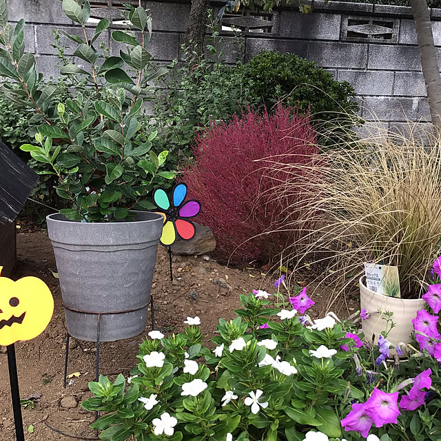 houenさんの部屋