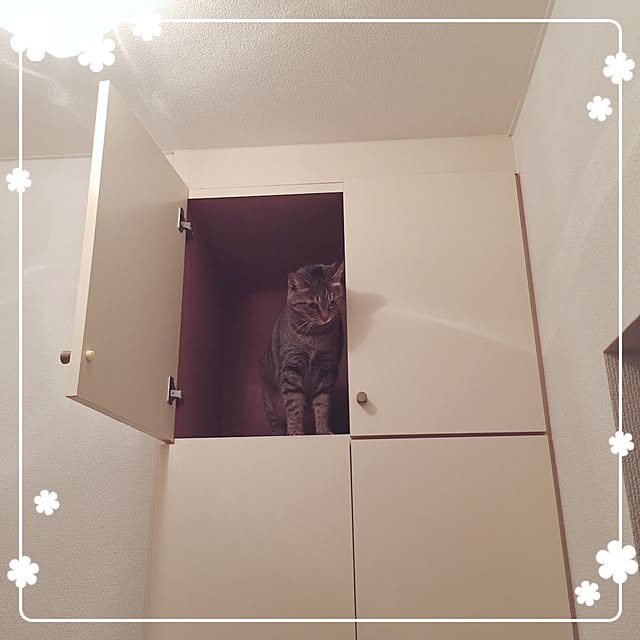 Emiさんの実例写真