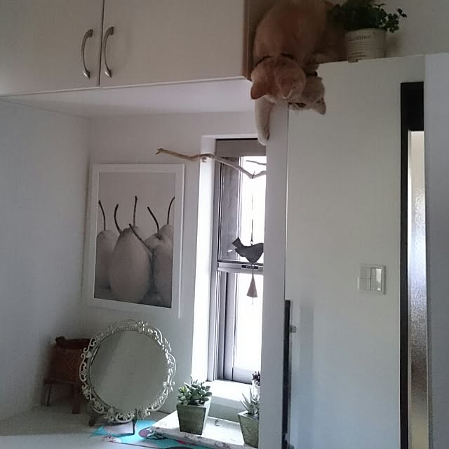 yukiさんの実例写真