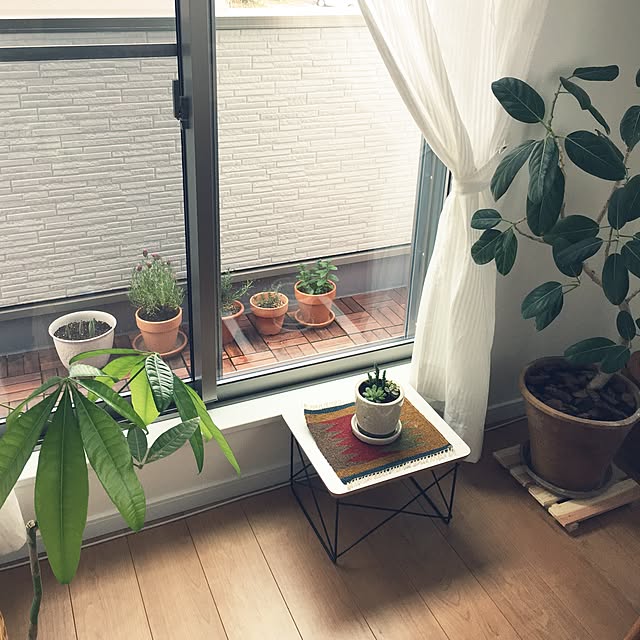 summer0411さんの実例写真