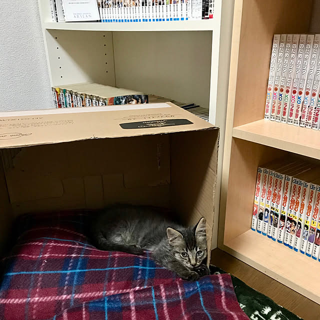 kazaneさんの実例写真