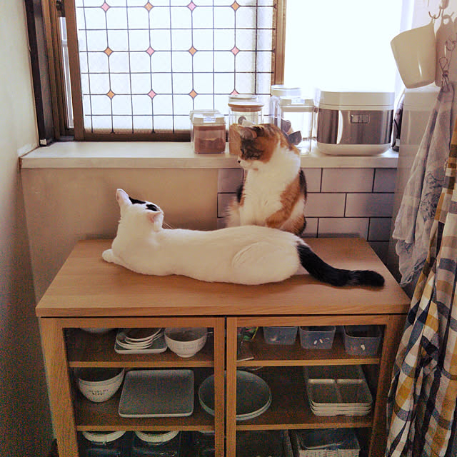 yukieさんの実例写真