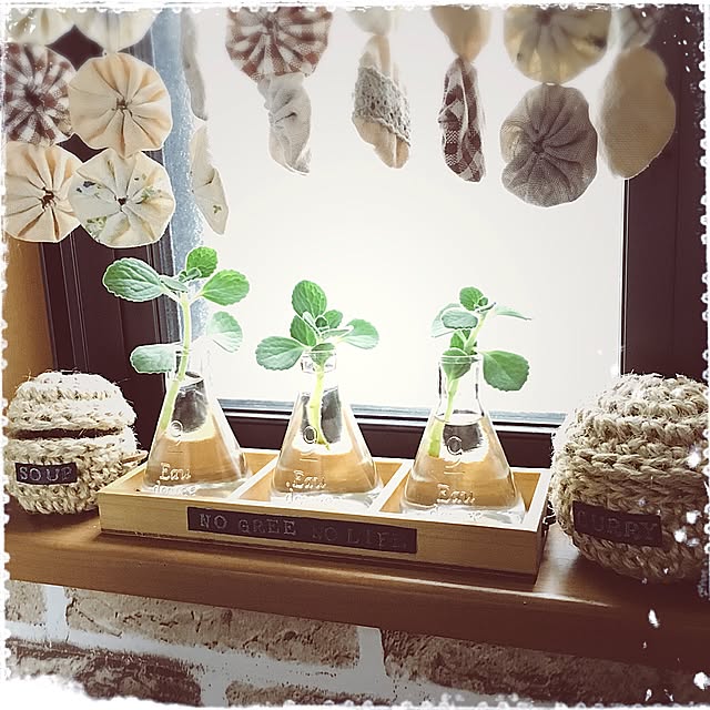 mapleさんの実例写真