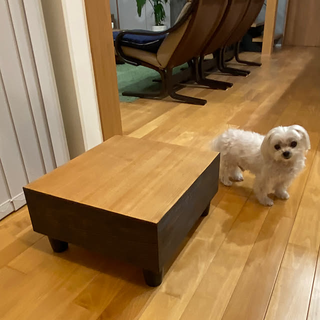 runmalgoさんの部屋