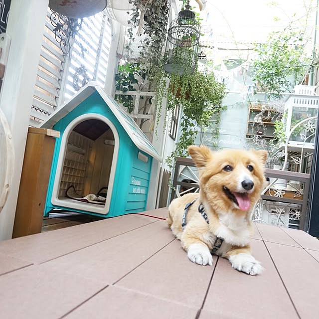 Suさんの実例写真