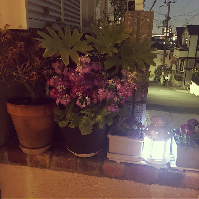 moyuhiさんの実例写真