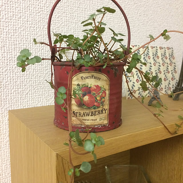 popoaさんの実例写真