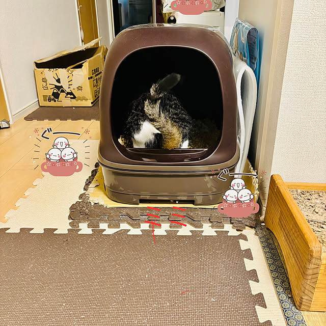 miniya0328さんの実例写真