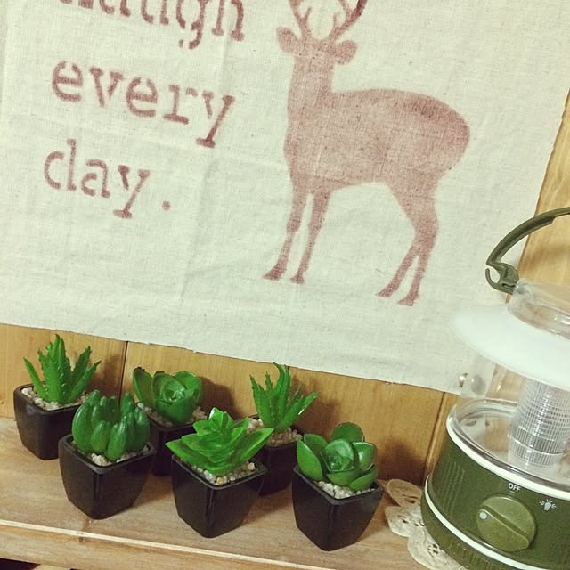 taksさんの実例写真