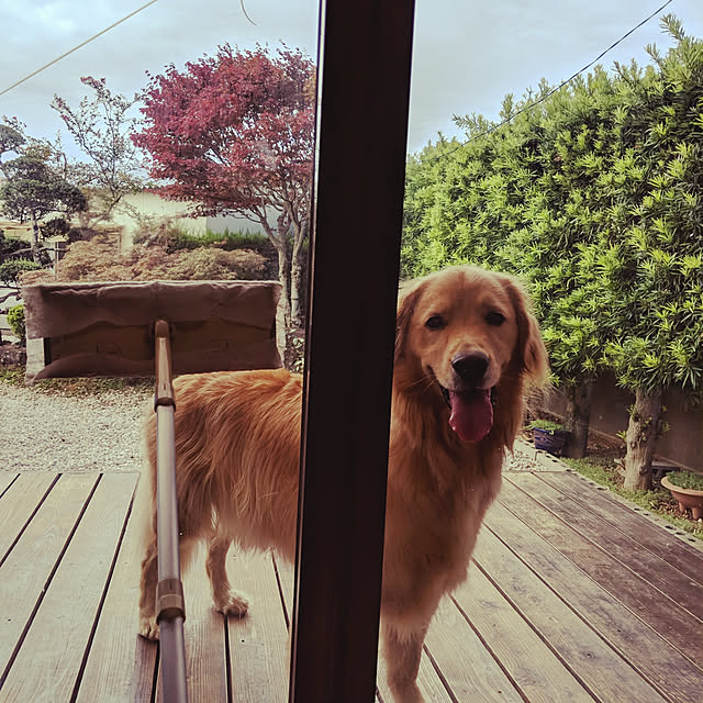 woodyさんの実例写真