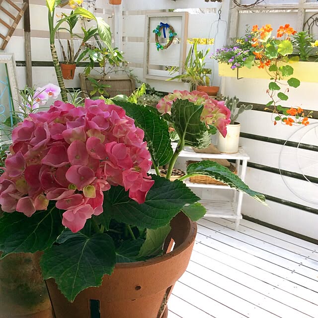 a-saさんの実例写真