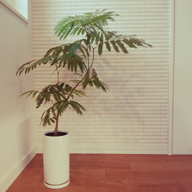 koumeさんの実例写真