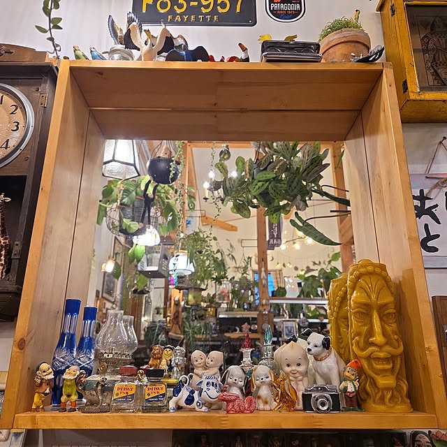 実例写真