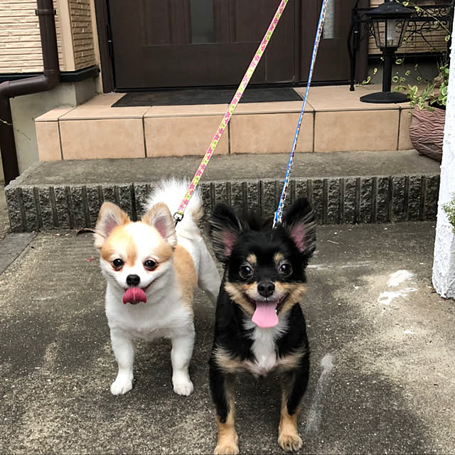 k.yuka29さんの実例写真