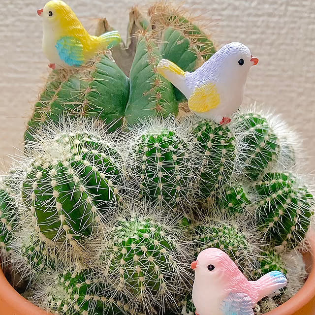 Hanakaさんの実例写真