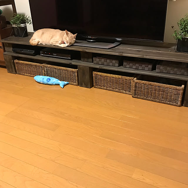 mikan161さんの実例写真