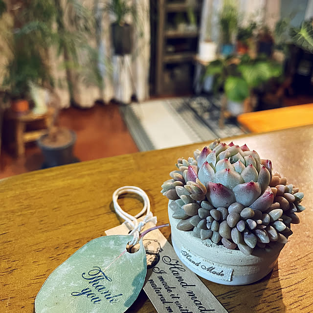 miyamiyaさんの部屋