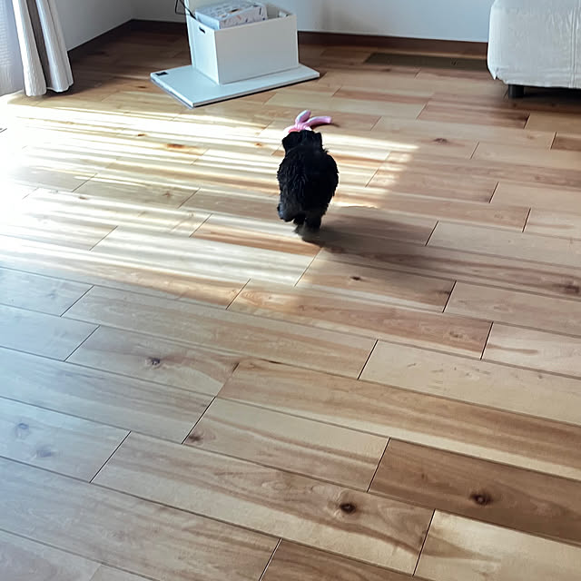 shinさんの部屋