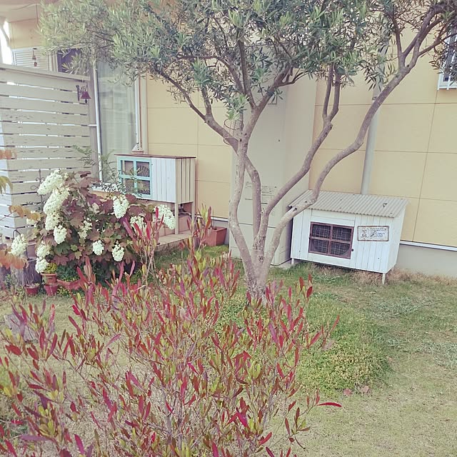 180447hiroさんの実例写真