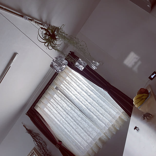 HippoPJ_tokyoさんの実例写真