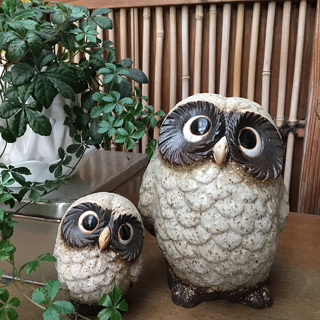 akekuroankoさんの実例写真