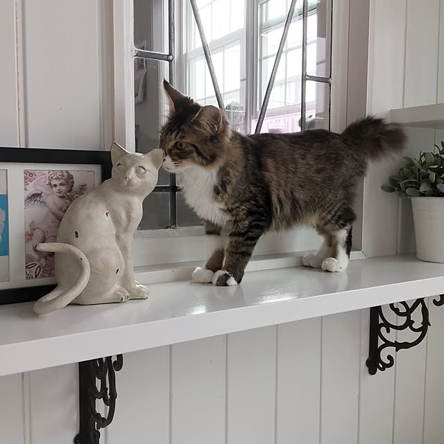 yuchiさんの実例写真