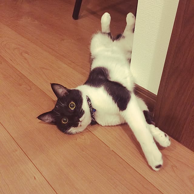 taeさんの実例写真
