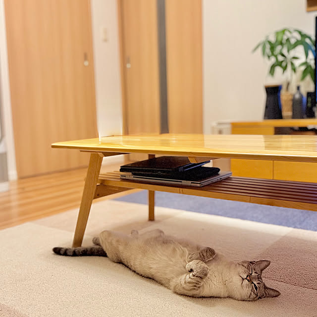 amさんの実例写真