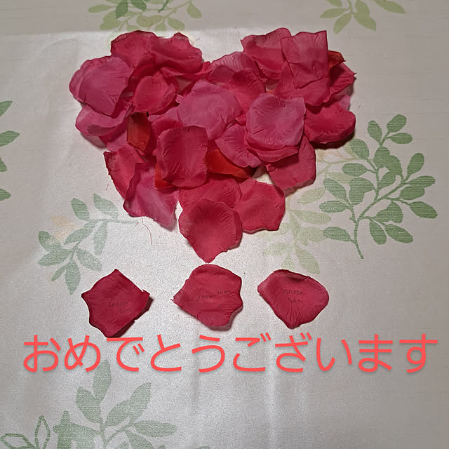 noaさんの実例写真