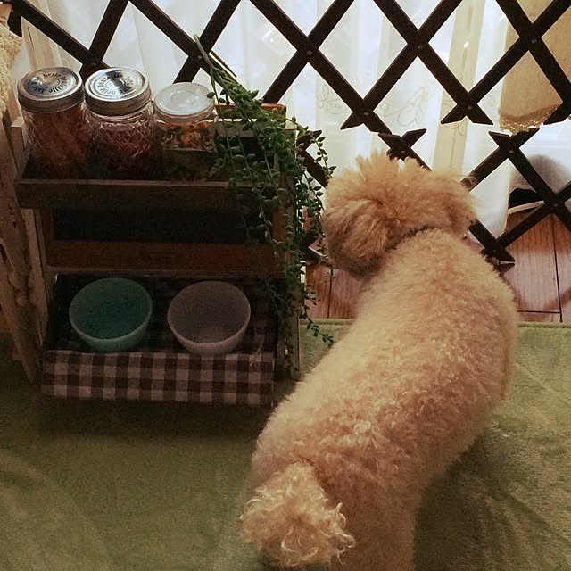 mapleさんの実例写真