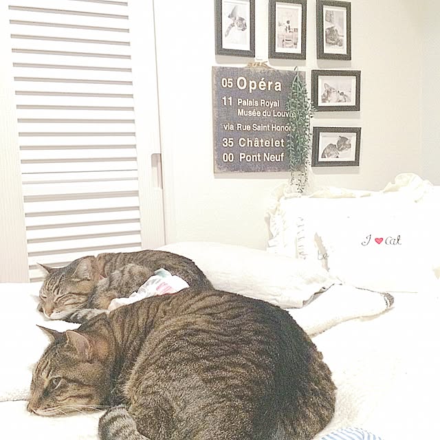 lovecatさんの実例写真
