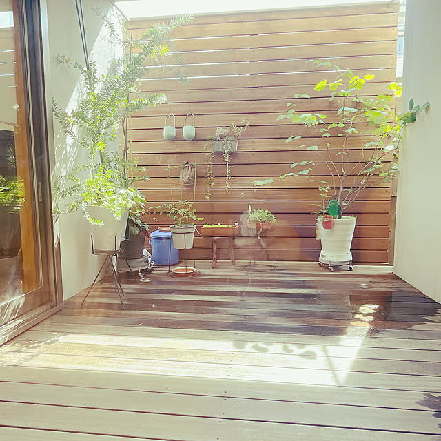 nahonさんの部屋
