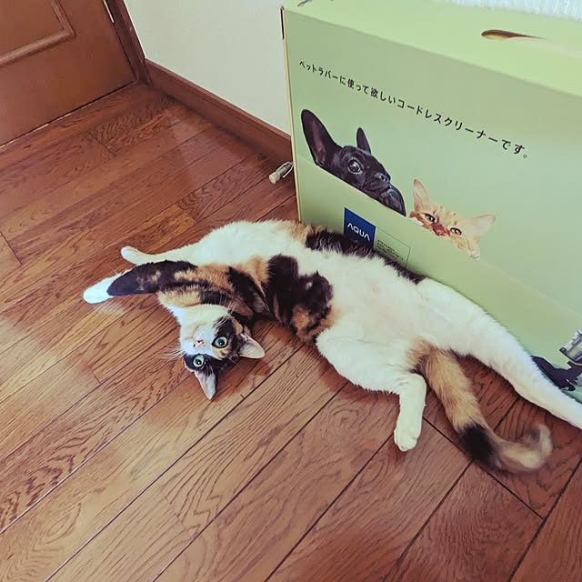 uchizukonyanさんの実例写真