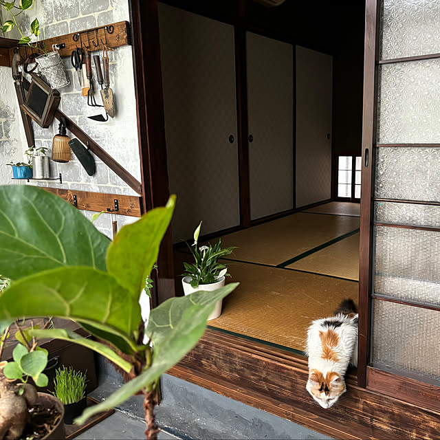 Mikazukiさんの部屋