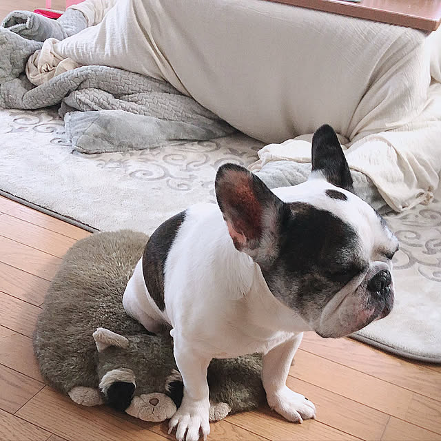 chi_gogaさんの実例写真