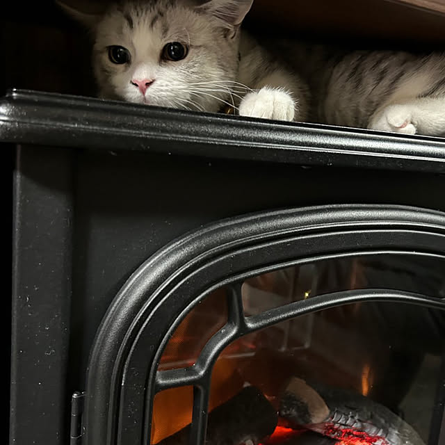 urutotoさんの部屋