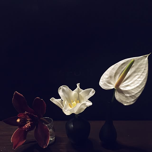 Ray.mさんの実例写真