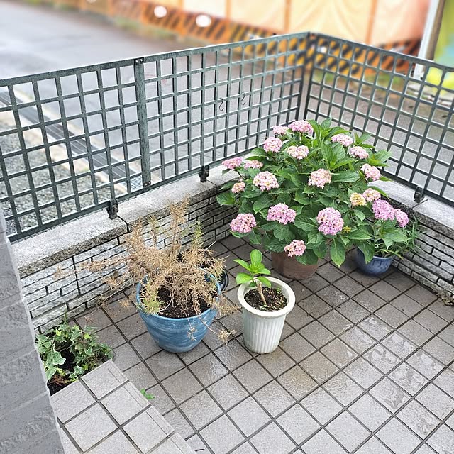 mash-room.aeさんの実例写真