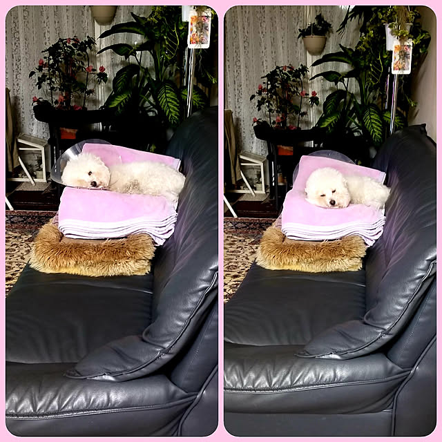 takoさんの実例写真