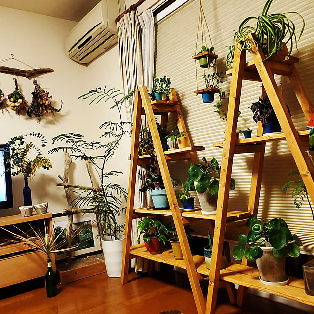 棚/観葉植物/DIY/コレ、DIYしたよ！/ドライフラワーのインテリア実例 - 2021-03-14 20:07:10