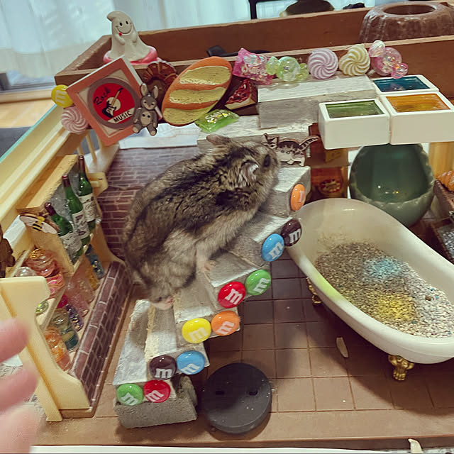 s.nikoさんの実例写真