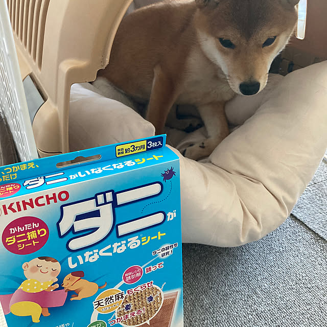 yumomitoさんの実例写真