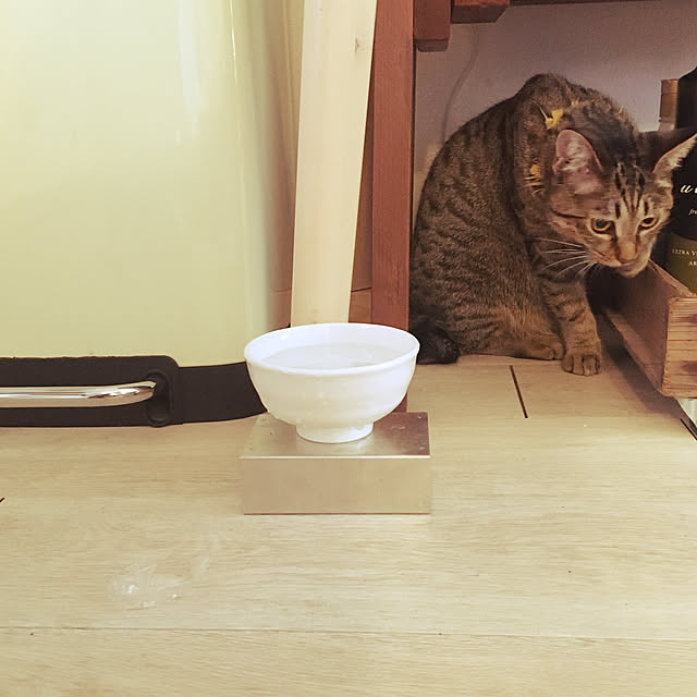 Mさんの実例写真